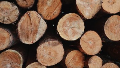 Photo of Wat is houtskeletbouw en wat zijn de voor- en nadelen?