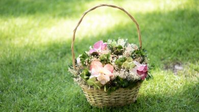 Photo of De klimaatklare tuin: voorbereid op hitte, droogte en stortregen