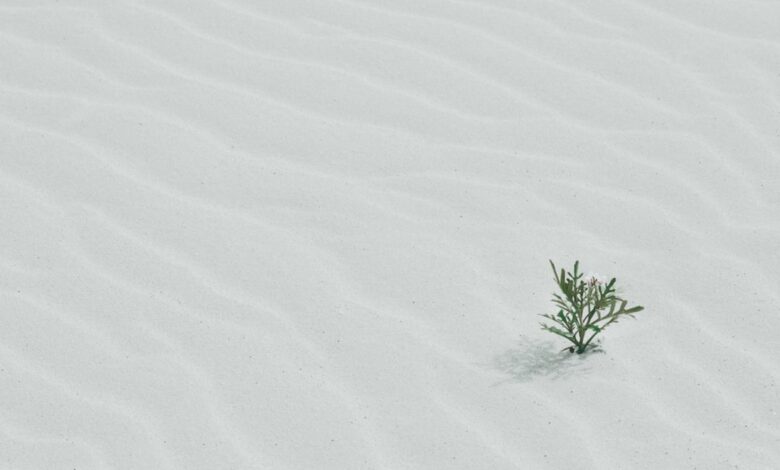 Gezond en sterk kattenkruid door nepeta snoeien