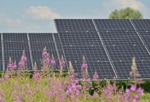 Photo of Nadelen zonnepanelen met stekker: waar moet je rekening mee houden?