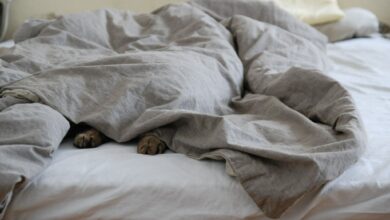 Photo of Volg jij de slaapkamertrends van 2026?