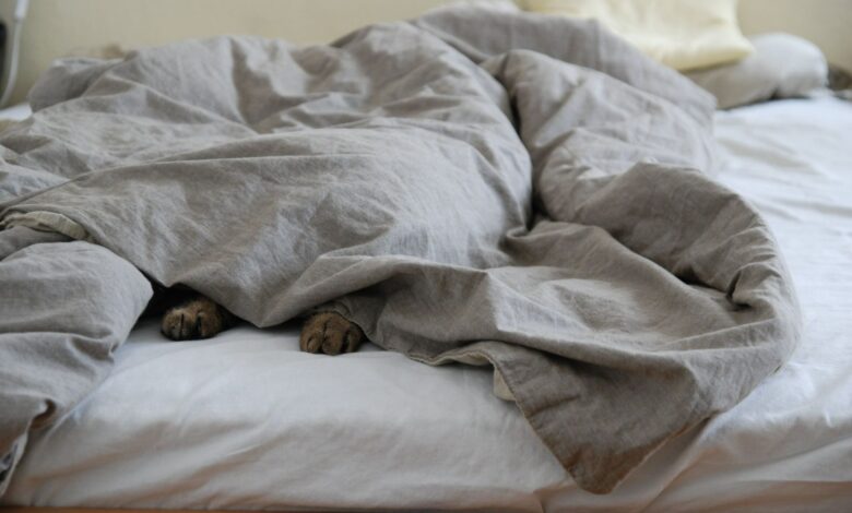 Volg jij de slaapkamertrends van 2026?