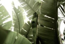 Photo of Retour sturen zonder gedoe: alles wat je moet weten