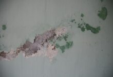 Photo of Een natte plek op het plafond? Dit kan er aan de hand zijn