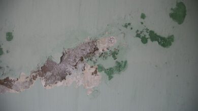 Photo of Een natte plek op het plafond? Dit kan er aan de hand zijn